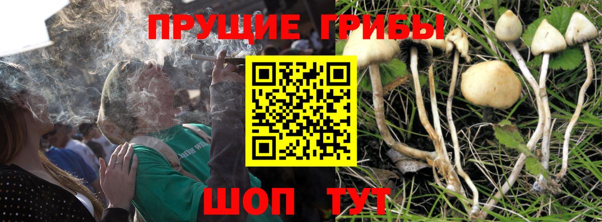Галлюциногенные грибы мухоморы Королёв