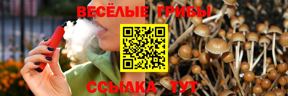 Королёв  купить наркотики цена  Вход с VPN  Псилоцибиновые грибы мицелий 